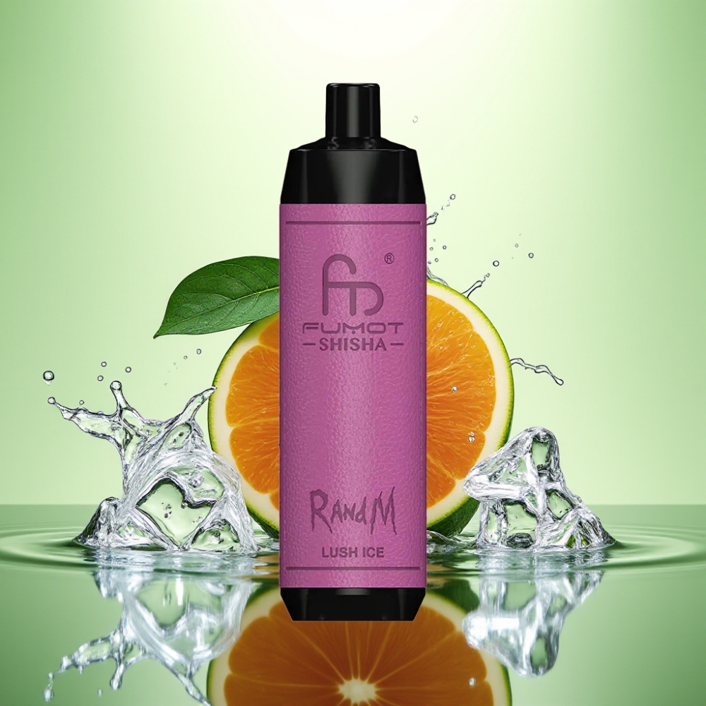 RandM Fumot Shisha 10000 Puff LED Ekran 18ml Type-C Şeftali-Nane Aromalı Disposable Vape
