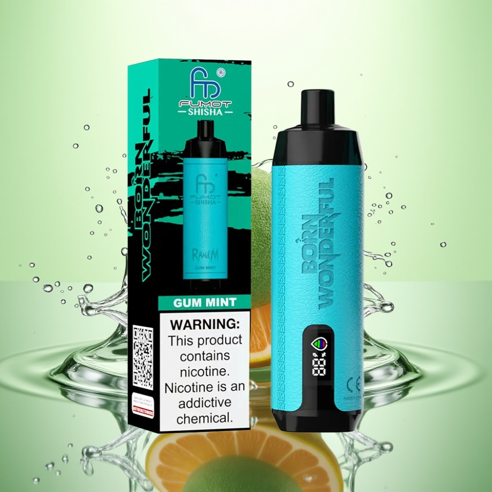 RandM Fumot Shisha 10000 Puff LED Gösterge 18ml 850mAh Type-C Sakız Naneli